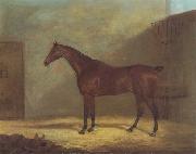 John Boultbee A Chestnut Hunter With A Groom By a Building oil painting on canvas